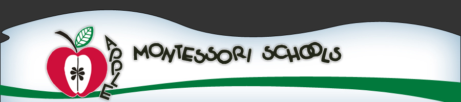 apple-montessori-schools-about